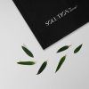 4476 2 katalog solution by kvitok v tlacenej forme